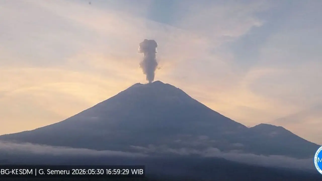 Gunung Semeru erupsi dengan tinggi letusan mencapai 1 km di atas puncak pada Sabtu (30/5/2026) sore (Istimewa)