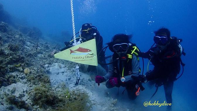 Proses memasang mooring buoy (Foto: Hobby Dive)