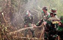 113 Perorangan dan 7 korporasi jadi tersangka pembakaran hutan
