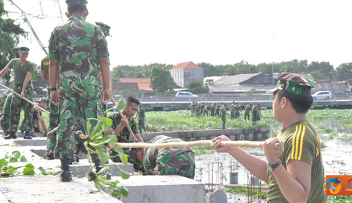 Citizen6, Surabaya: Sedikitnya 75 orang personel Detasemen Markas Kobangdikal, bahu-membahu mengail, mengangkat dan menyeret hama tumbuhan air itu ke tepi bozem yang masih dalam tahap pengerjaan linning oleh Prenprov Jatim. (Pengirim: Penkobangdikal)