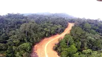 Jalan Perbatasan Kalimantan (Foto: Dokumentasi Ditjen Bina Marga Kementerian Pekerjaan Umum)