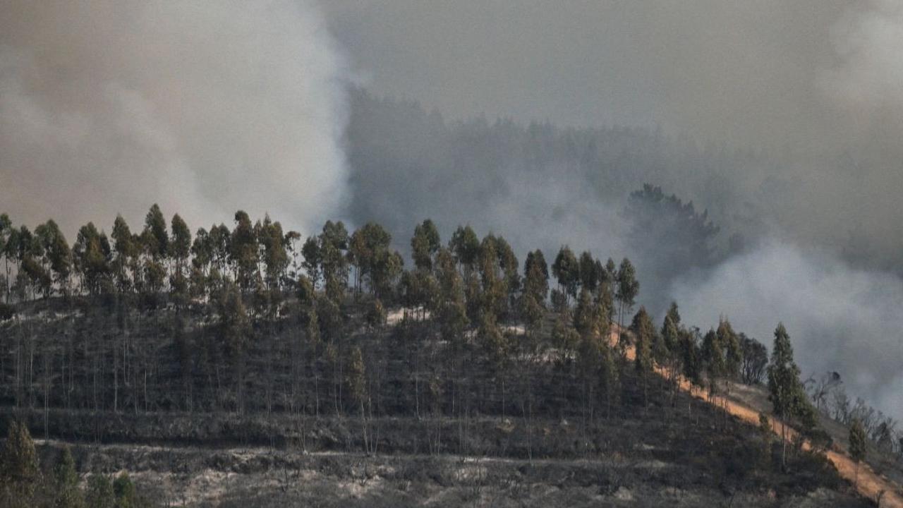 Temperatur tinggi dan angin kencang mempersulit upaya pemadaman api yang telah menghanguskan sekitar 6.700 hektare lahan.