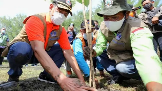 Upaya penguatan mitigasi bencana gempa bumi dan tsunami berbasis vegetasi di wilayah Pesisir Selatan Jawa Tengah, Kepala BNPB Doni Monardo menanam pohon Butun di Cilacap, Rabu, 28 April 2021. (Badan Nasional Penanggulangan Bencana/BNPB)