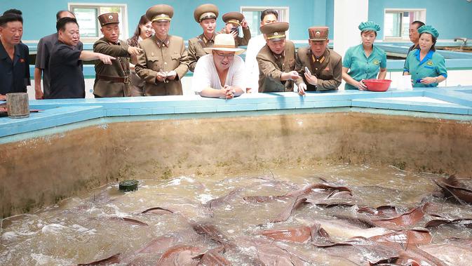Senyum Pemimpin Korea Utara Kim Jong-un (tengah) saat meninjau peternakan lele samchon di Provinsi Hwanghae Selatan, Korea Utara, Senin (6/8). Kim tampak santai dengan kaus putih tipis dan topi bundar. (KCNA VIA KNS/AFP)
