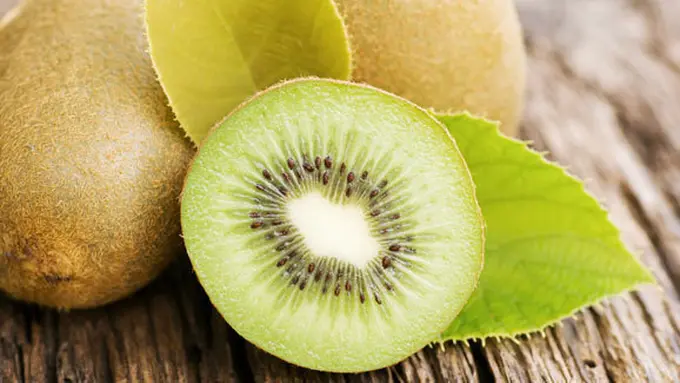 Courtesy ShutterStock.com