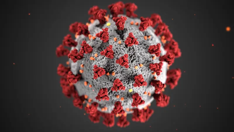 Ilustrasi virus corona/ Pexels