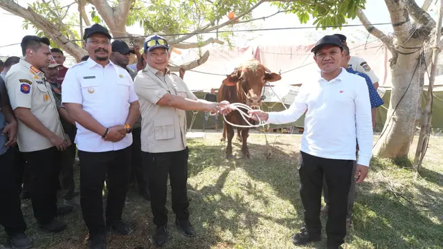 Kasatgas Tito Karnavian Serahkan Bantuan Sapi Presiden Prabowo kepada Masyarakat Aceh