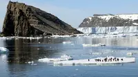 Penampakan koloni penguin Adélie yang diabadikan oleh ilmuwan. (Michael Polito/Louisiana State University)