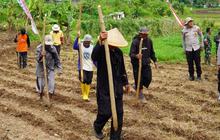 Polres Tasikmalaya Tanam Jagung Serentak di 22 Hektare Lahan, Dukung Swasembada Pangan 2026