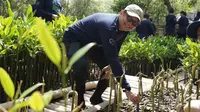 Perusahaan Importir Gelar Penanaman Mangrove Sebagai Wujud Kepedulian Lingkungan Menuju Usia 25 Tahun
