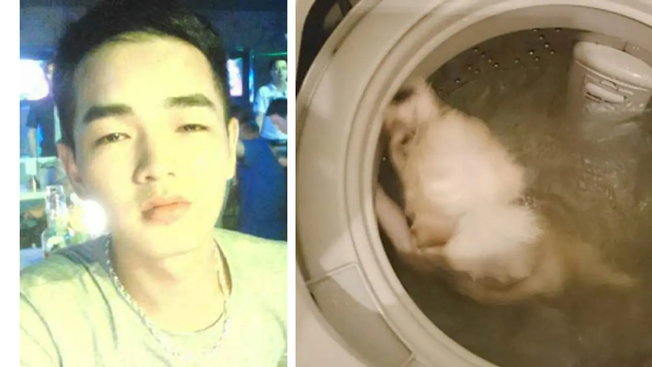 Teganya Seorang Pria Menggiling Anjing-nya di Dalam Mesin Cuci
