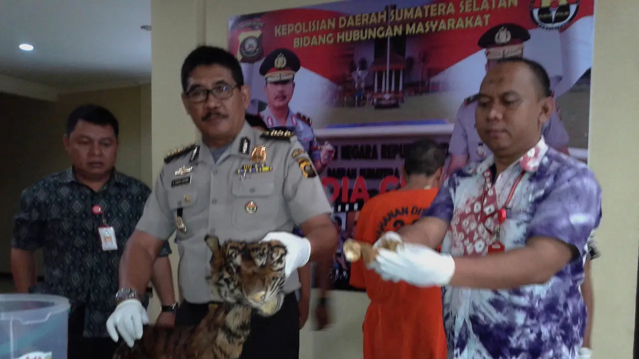 Kulit harimau