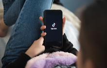 5 Tips Jitu Bisa Sukses dan Raup Cuan di TikTok