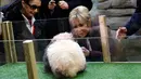 Ibu negara Prancis, Brigitte Macron saat melihat panda Yuan Meng di Kebun Binatang Beauval, Prancis (4/11). Saat ini Yuan Meng memiliki berat 4 kg. (AP Photo/Thibault Camus, Pool)