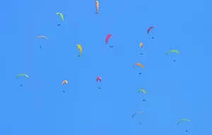 Sukses Gelar Task 2 IPXC Panglima TNI Cup dan Kejurnas Paralayang 2026, Wonogiri Siap Jadi Tuan Rumah Permanen