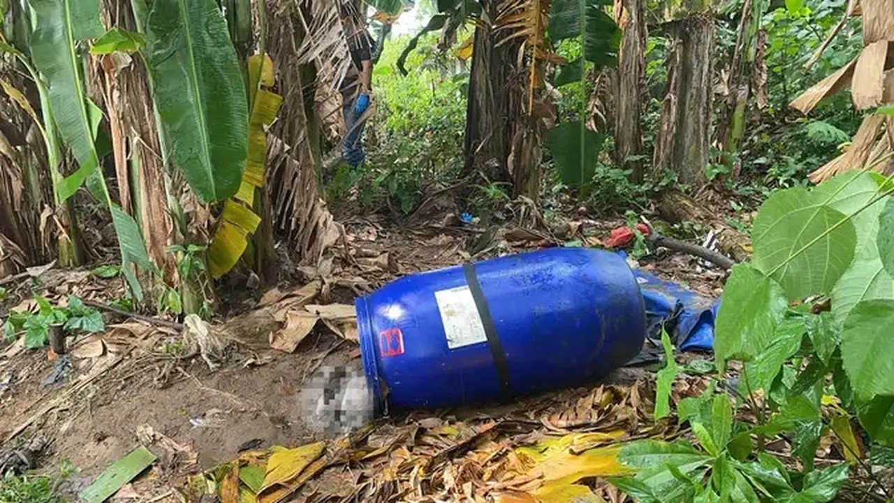 Jasad Perempuan di Dalam Tong, Ditemukan Mengambang di Bantaran Sungai Cisadane di Tangerang
