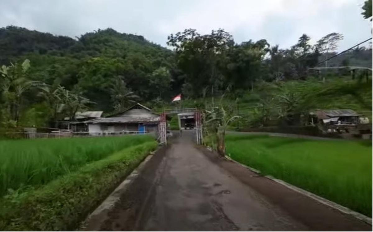 Adem dan Nyaman, Potret Rumah Pelawak Ohang di Pinggir Sawah di Dalamnya Banyak Lukisan Mewah