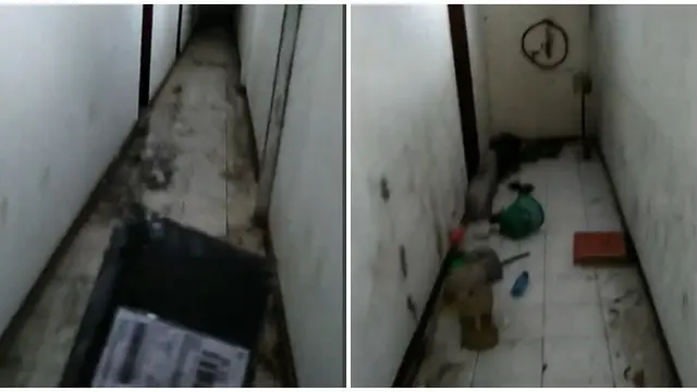 Viral Kurir Antar Paket ke Gedung Kosong dan Kumuh, Bak Uji Nyali
