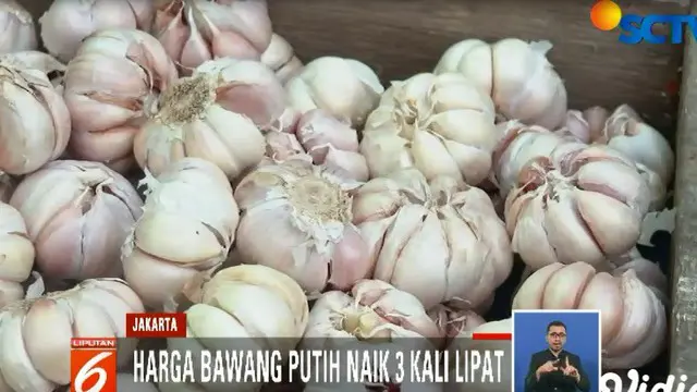Sejak Minggu pagi, warga rela mengantri demi mendapat bawang putih yang di jual seharga Rp 25 ribu per kilogram.