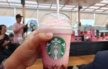 Starbucks Bantah Dukung Israel: Kami Tidak Memberi Sumbangan Politik