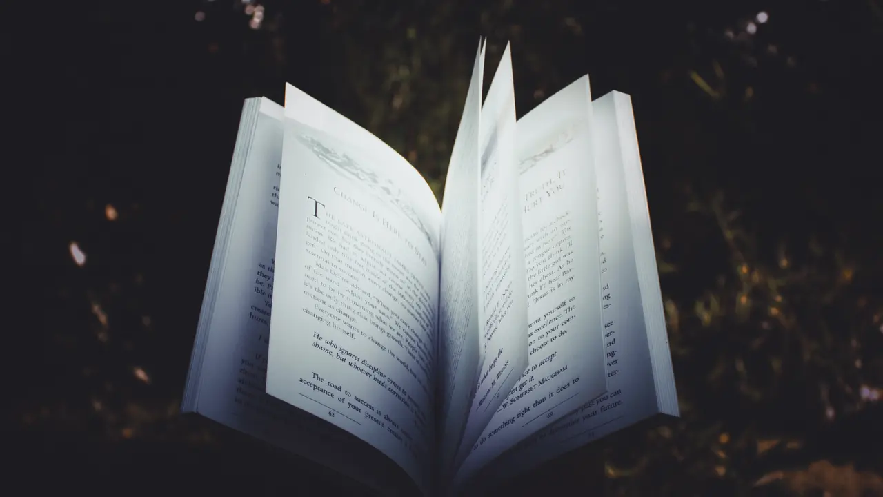 Novel adalah