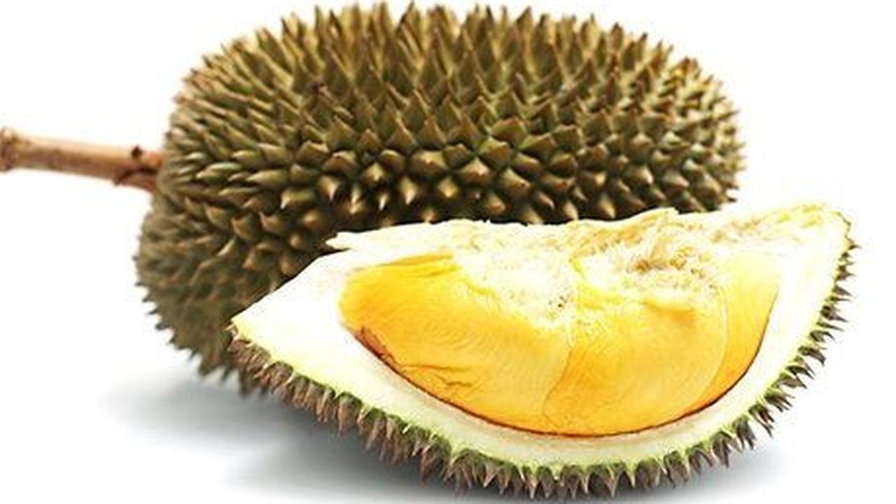 Durian<br>