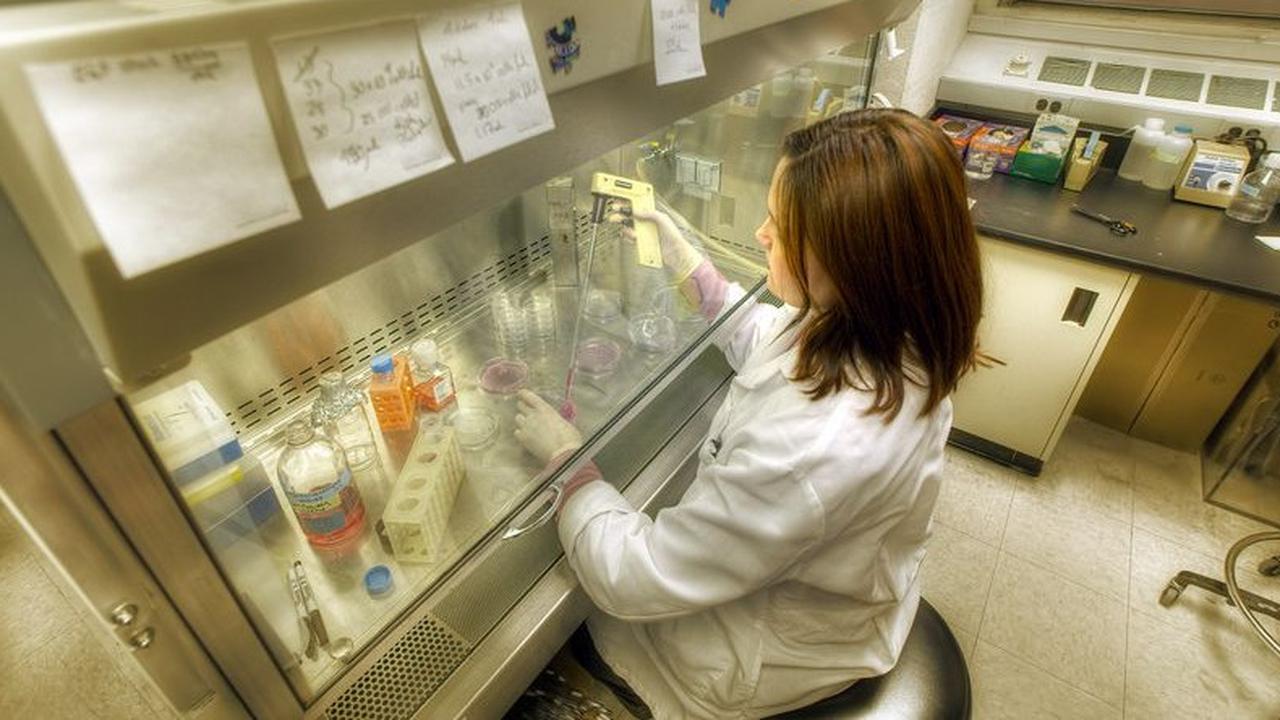 10 Penemuan Baru Terkait Nutrisi yang Mengejutkan: Pengaruh Bulan Pembuahan hingga Bahaya Microplastik dalam Permen Karet!