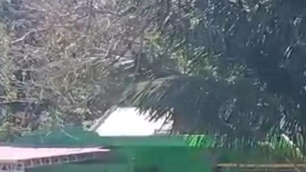 Mengenal 'Kawin Tangkap', Tradisi yang Membuat Gadis di Sumba Diculik-Diangkut Mobil Pikap