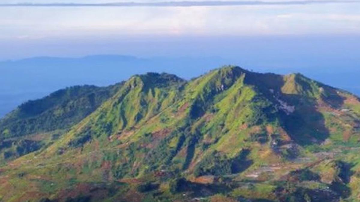 6 Fakta Menarik Gunung Liangpran di Kalimantan Timur yang Kaya Ragam Bunga Anggrek