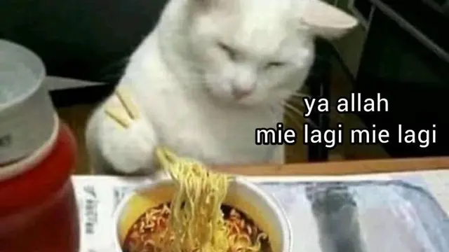 6 Potret Hewan Makan Mi Instan Ini Bikin Geleng Kepala