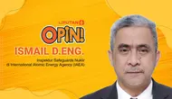 Ismail D.Eng., Inspektur Safeguards IAEA