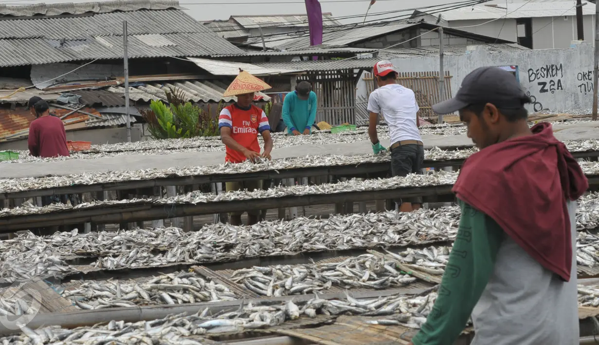 Sejumlah pekerja mengeringkan ikan asin di kawasan Muara Angke, Jakarta, Rabu (13/1/2016). Menteri Kelautan dan Perikanan, Susi Pudjiastuti optimistis sektor perikanan akan mengalami pertumbuhan sebesar 12 persen pada 2016 (Liputan6.com/Faisal R Syam)