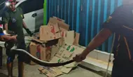 Bukan Tangkap Maling, Tim Ronda di Sukabumi Temuan Piton 3 Meter