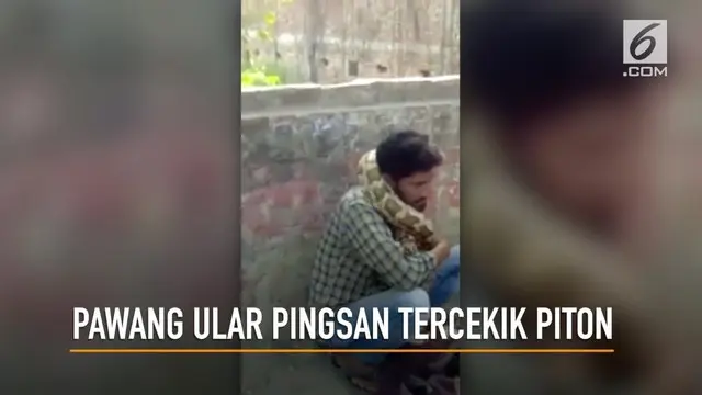 VIDEO: Detik-detik Pawang Ular Tercekik Piton Peliharaan