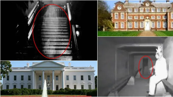 Foto Dari Berbagai Sumber