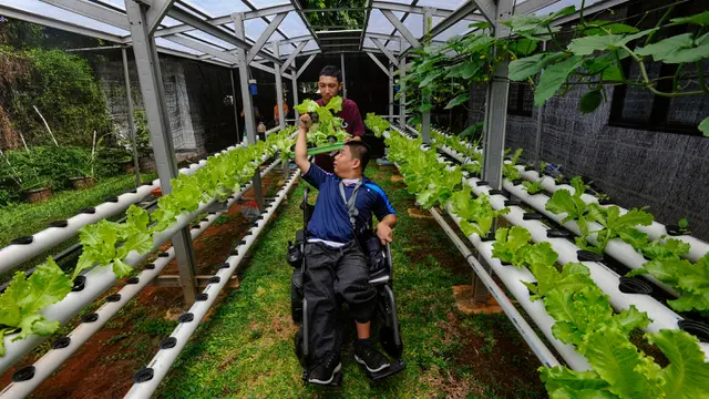 Melihat Aktivitas Pembelajaran Berkebun bagi Murid Penyandang Disabilitas