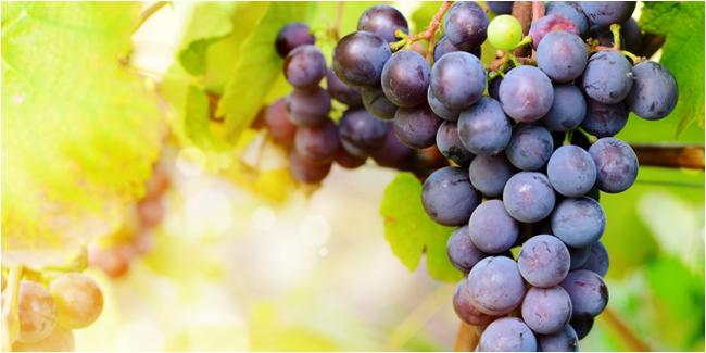 Foto: copyright thinkstockphotos.com