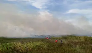 Kasus ISPA Capai 400 Ribu per Minggu, Kebakaran Hutan Ikut Dorong Kenaikan