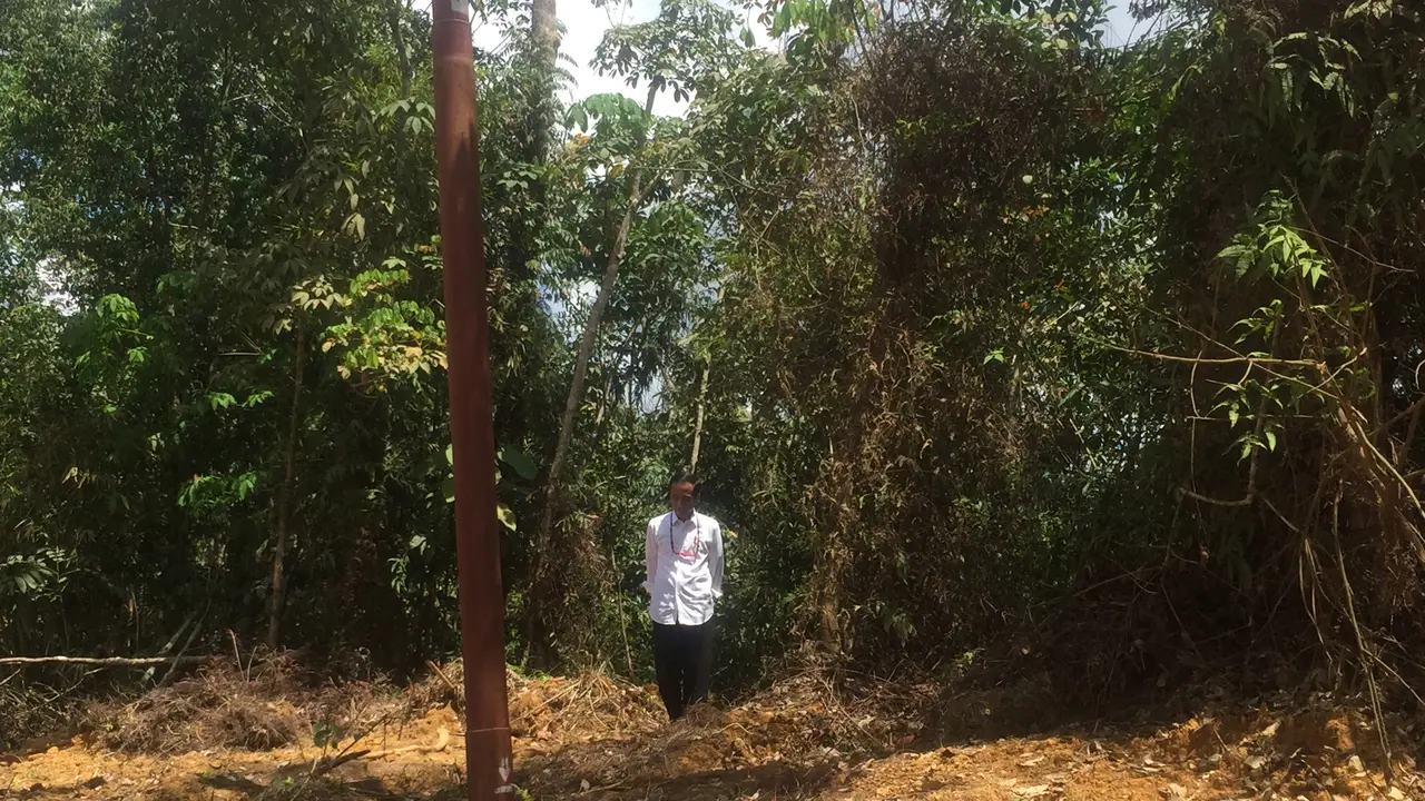 Presiden Joko Widodo atau Jokowi mengecek kelaikan Kalimantan Tengah (Kalteng) sebagai ibu kota. (Liputan6.com/Lizsa Egeham)