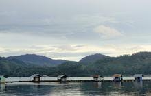Mengunjungi Danau Laut Tawar, Suguhkan Panorama Alam Indah yang Memukau Cocok untuk Healing