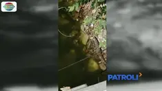 Petugas menyisir beberapa area kali dan memasang sejumlah perangkap jaring di bawah jembatan.