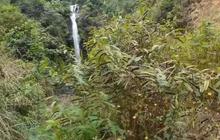 Punya Panorama yang Menakjubkan, Wisata Air Terjun di Pekalongan Ini Kondisinya Justru Terbengkalai