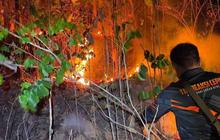 Meluas di Lereng Butak, Kebakaran Hutan Pinus Dekati Permukiman