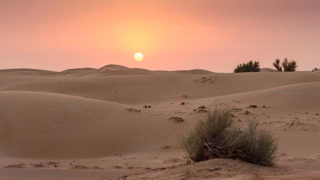 Ilustrasi gurun Dubai (pixabay)