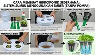 9 Cara Membuat Hidroponik Sederhana Tanpa Pompa, Tak Perlu Peralatan Rumit