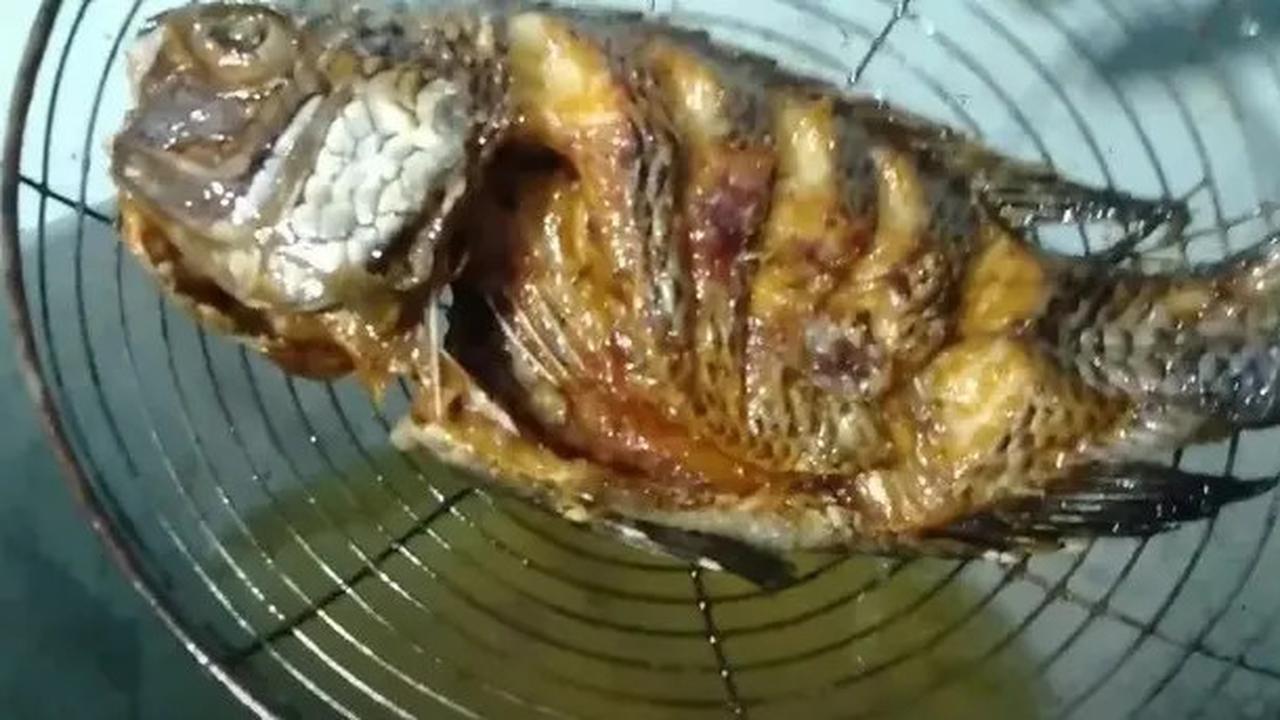 Trik Goreng Ikan yang Tidak Lengket dan Minyak Tetap Bersih