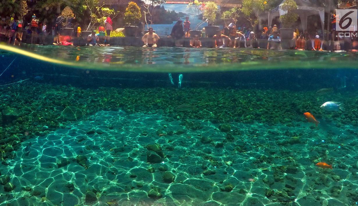 Foto Sensasi Swafoto Dalam Air Di Kolam Renang Umbol Ponggok Lifestyle Liputan6 Com