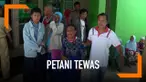 Dua petani ditabrak sebuah mobil saat sedang istirahat di tepi sawah.