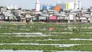 Suasana Waduk Pluit yang dipenuhi eceng gondok, Jakarta, Jumat (22/2). Pendangkalan waduk menyebabkan tanaman eceng gondok tumbuh liar di waduk pluit. (Liputan6.com/Faizal Fanani)