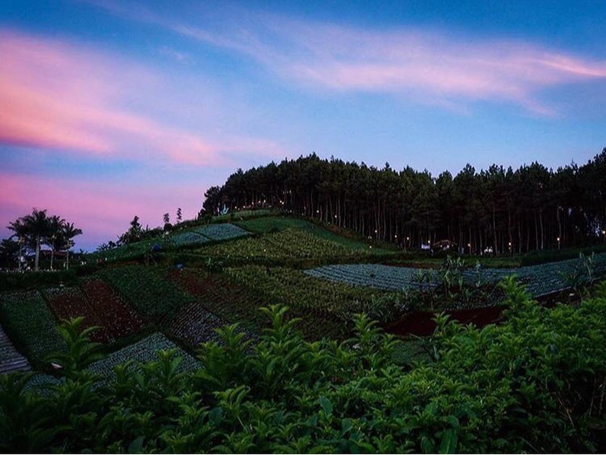 Bukit Moko